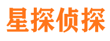 陆河侦探公司